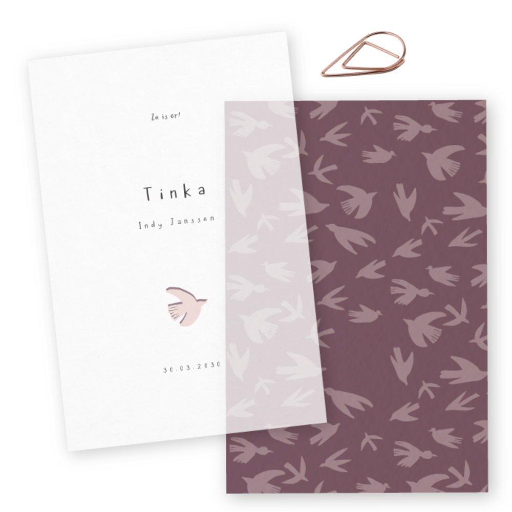 meisjes geboortekaartje hippe vogeltjes illustraties patroon kalk papier labels