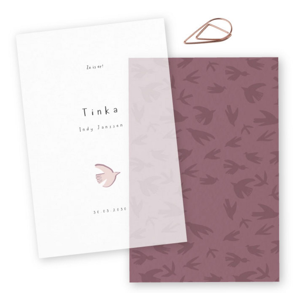 Geboortekaartje kalkpapier labels vogels Tinka