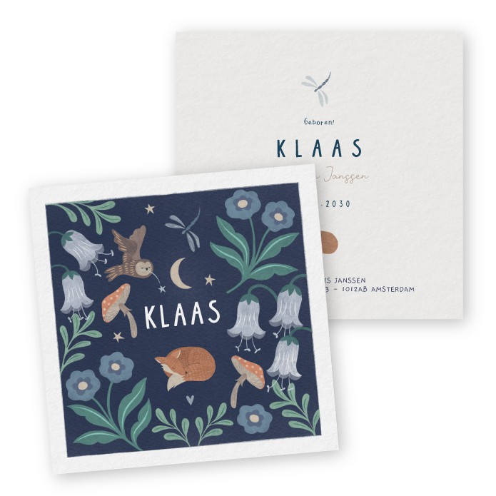 Geboortekaartje Klaas vosje patroon - Froukje den Nijs