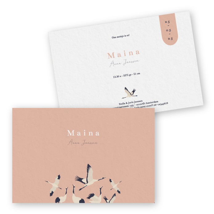 Geboortekaartje kraanvogels