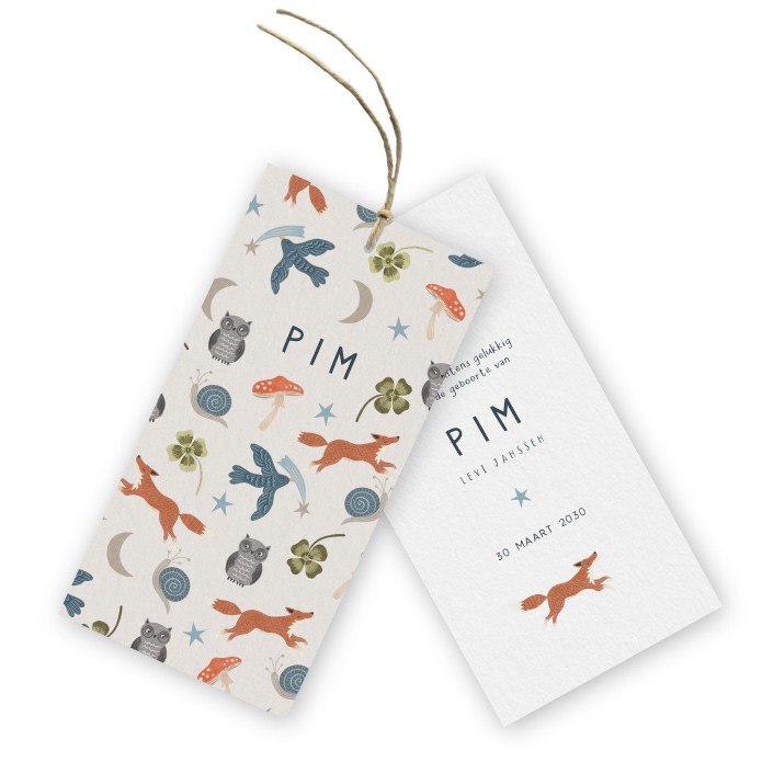 Geboortekaartje labels vosjes Pim - Froukje den Nijs