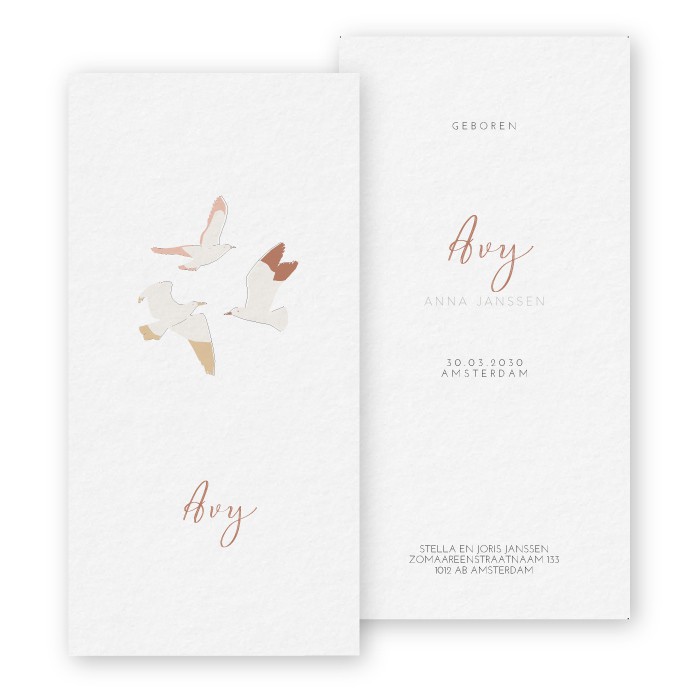 Geboortekaartje meisje vogels