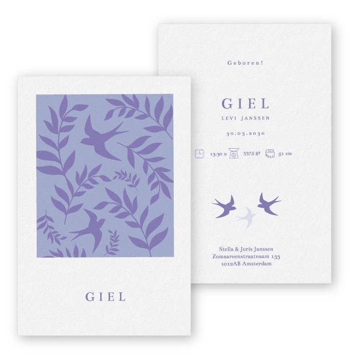 babykaartje zwaluw giel