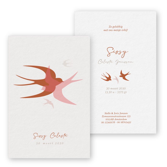 Uniek geboortekaartje voor een meisje of jongens  met zwaluwen
