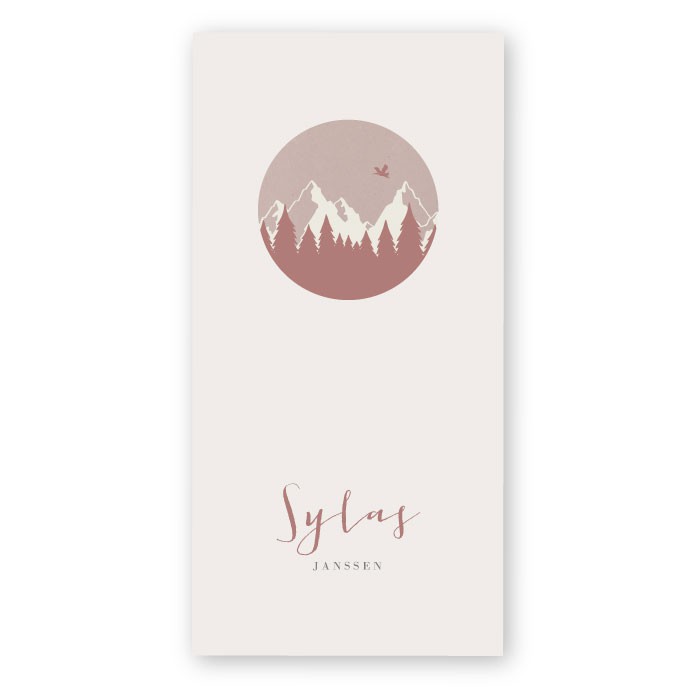 Babykaartje karton bergen Sylas