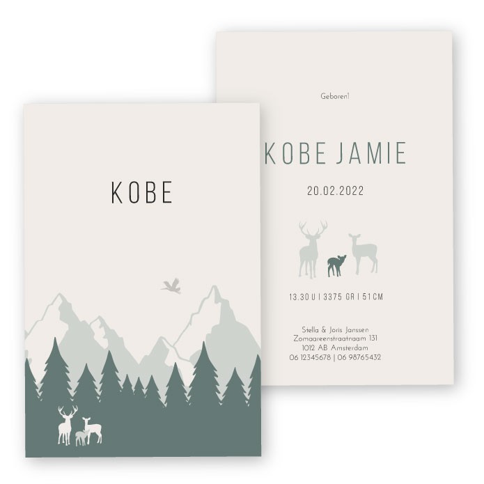Babykaartje karton Kobe