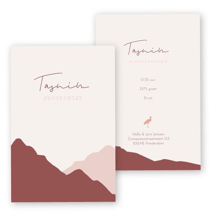 Babykaartje karton roodbruin