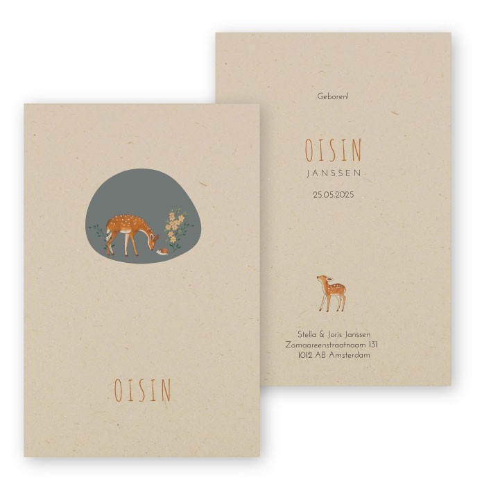 Geboortekaartje duurzaam hertje Oisin