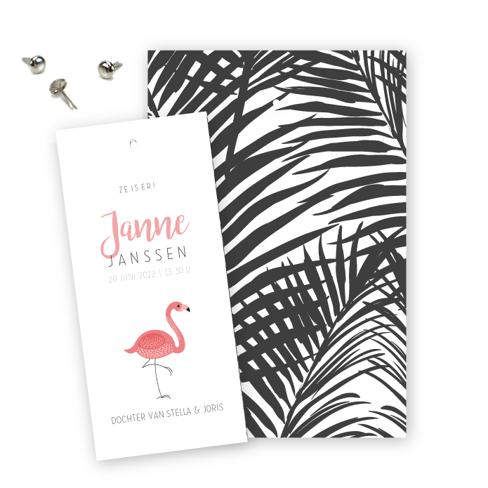 Geboortekaartje label splitpen Janne