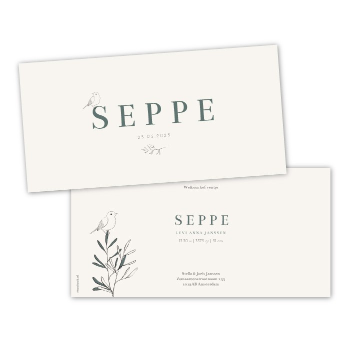 Strak geboortekaartje Seppe