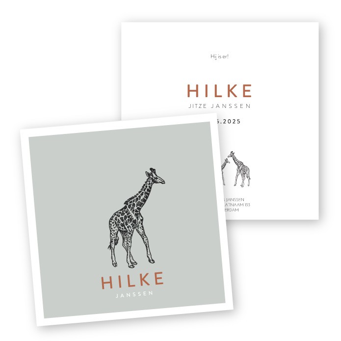 Babykaartje vierkant Hilke