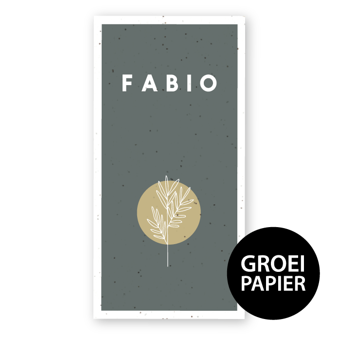 Geboortekaartje groeipapier Fabio