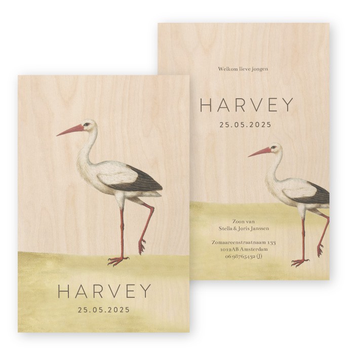 Geboortekaartje hout Harvey