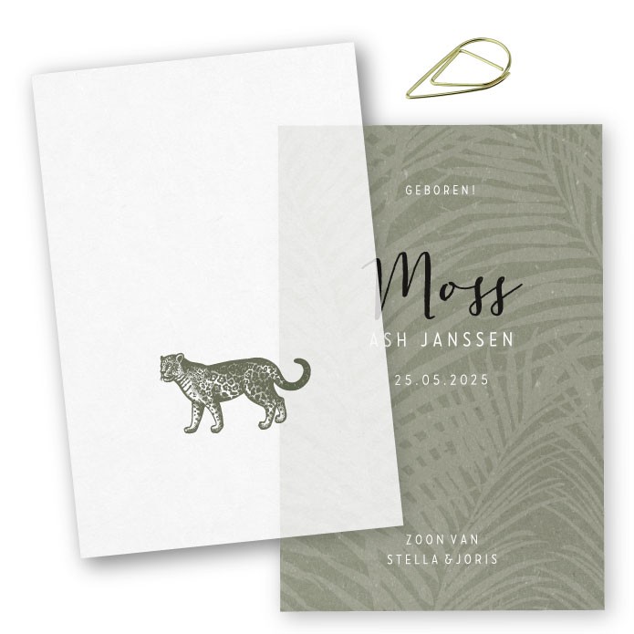 Babykaartje kalk Moss