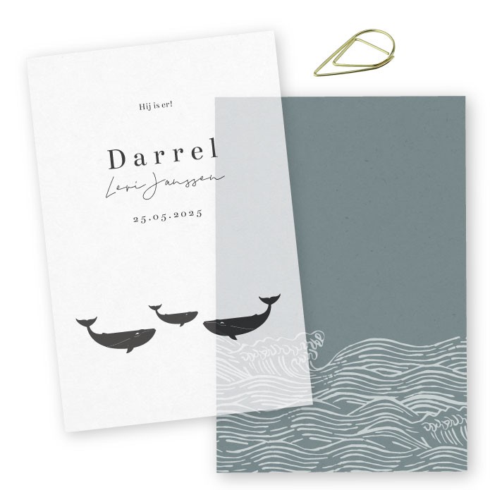 Geboortekaartje kalkpapier Darrel