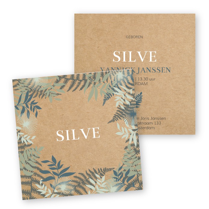 Geboortekaartje kraft papier Silve