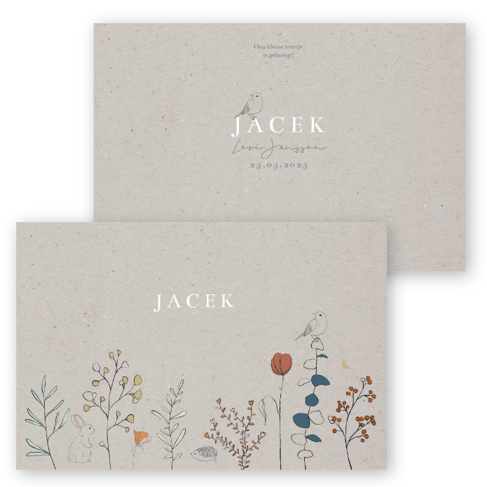 geboortekaartje grijs karton jongens met bloemen en vogeltje, egeltje en getekend konijntje