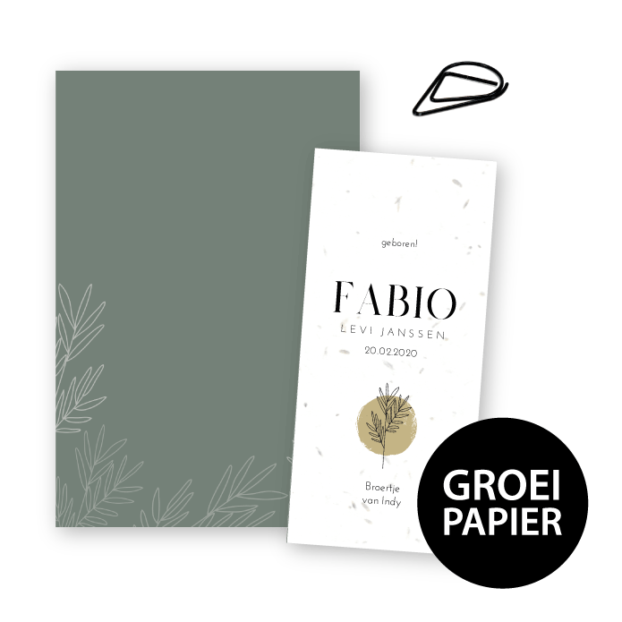 Geboortekaartje label groeipapier Fabio