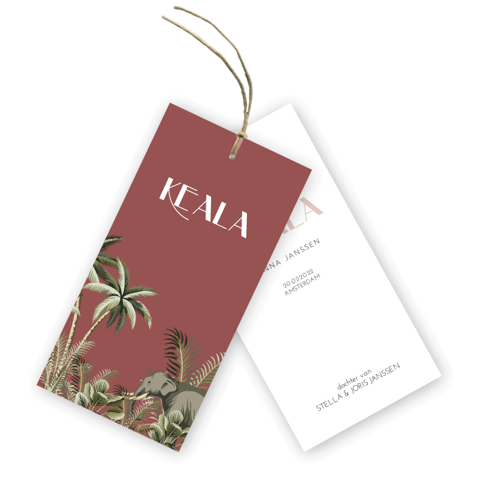 Geboortekaartje labels karton olifant Keala
