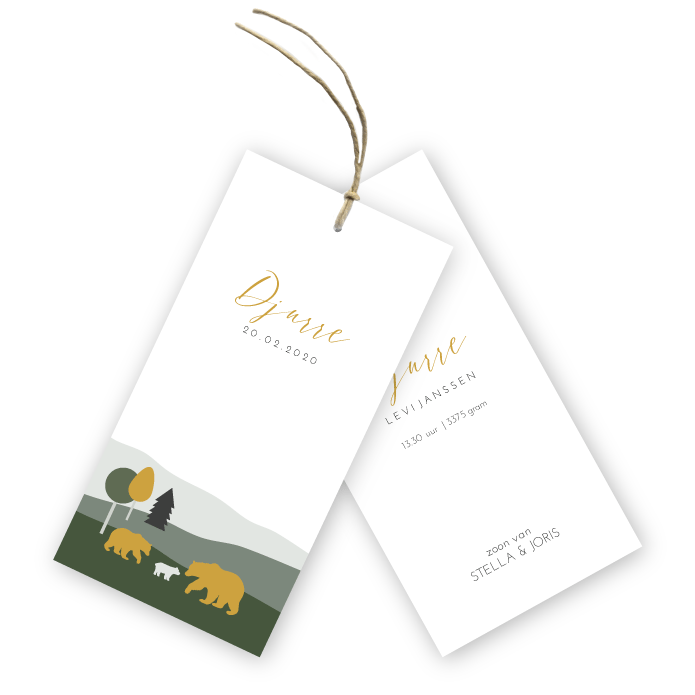 Geboortekaartje groen landschap winters ijsbeertjes