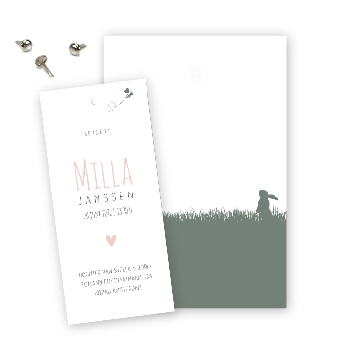 Geboortekaartje label klembord splitpen Milla