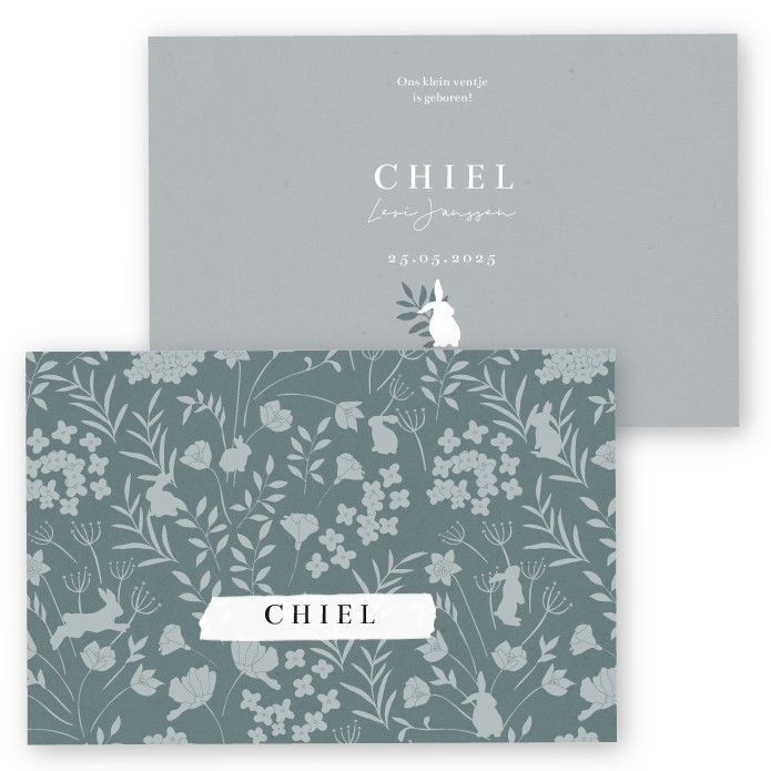 Babykaartje vintage blauw Chiel