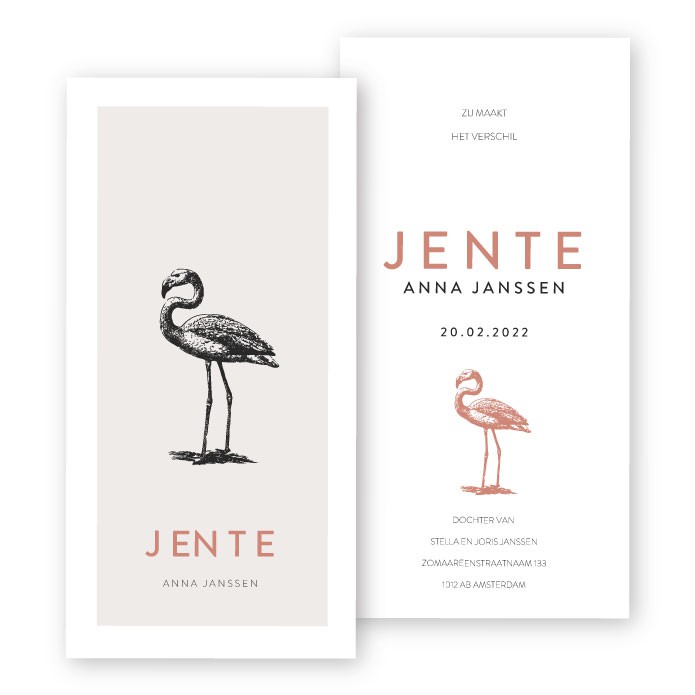 Geboortekaartje flamingo Jente
