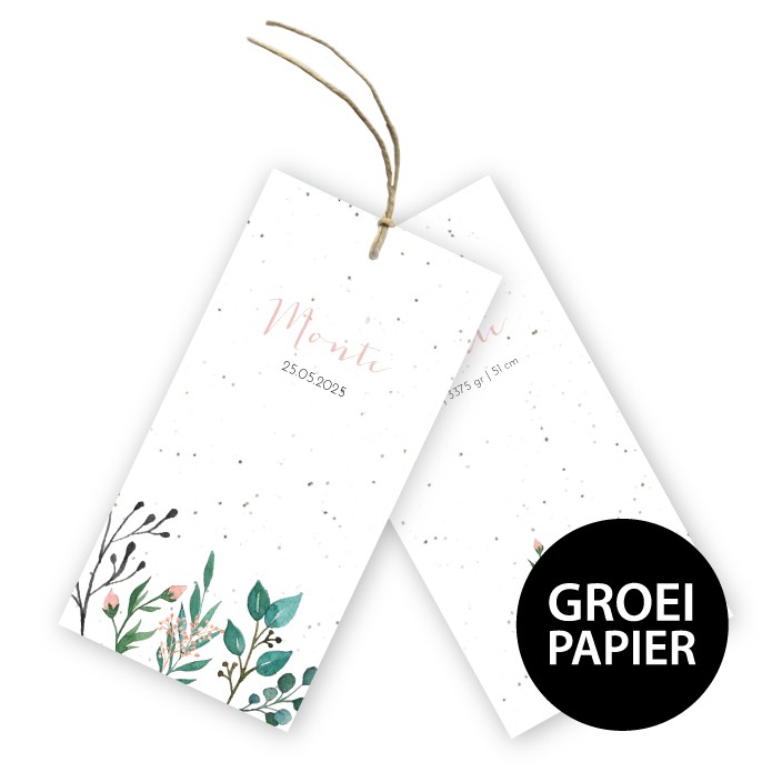 Geboortelabel groeipapier botanisch waterverf takjes Monte
