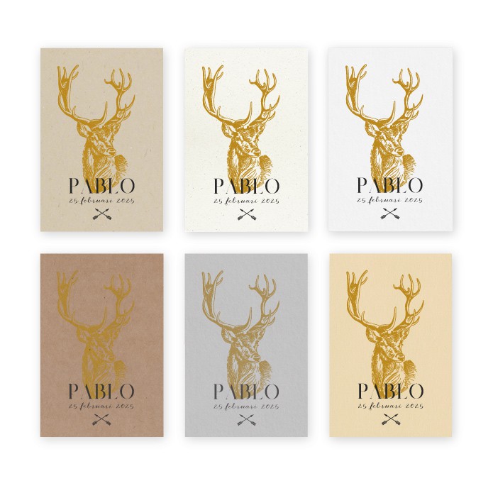 Geboortekaartje duurzaam hert Pablo