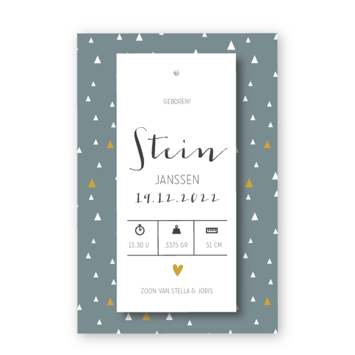 Geboortekaartje splitpen Stein