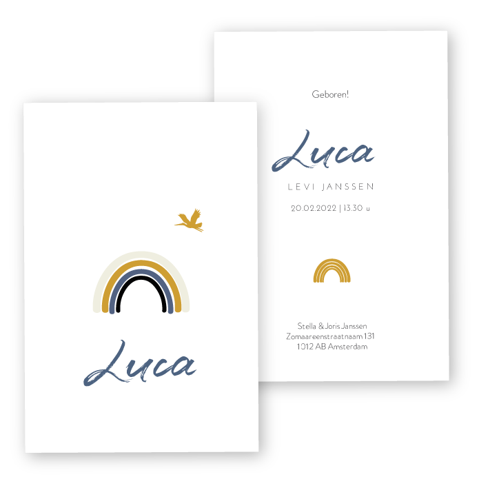 Babykaartje regenboog silhouetje