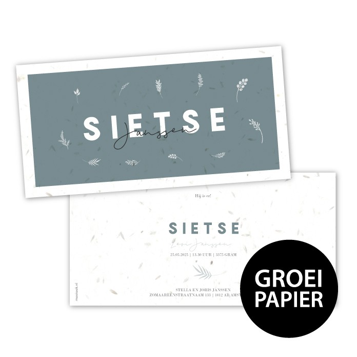 Geboortekaartje groeipapier Sietse