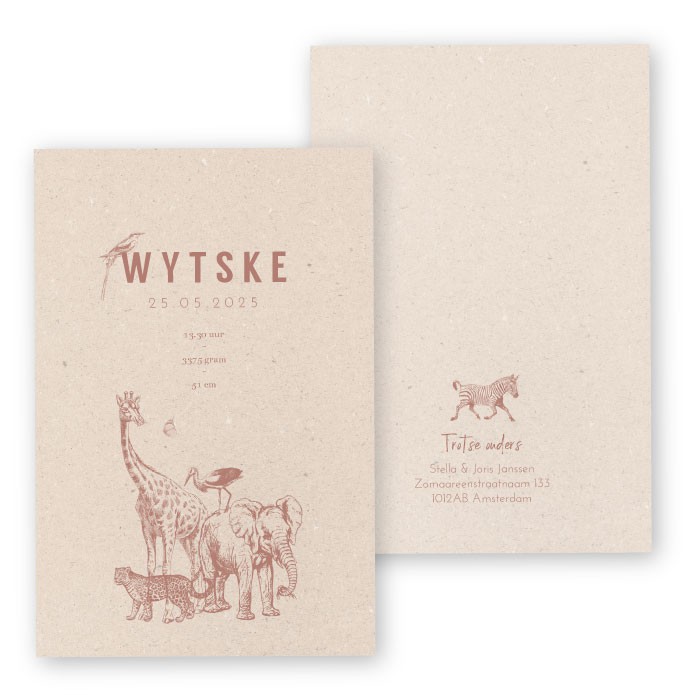 Geboortekaartje vintage ooievaar