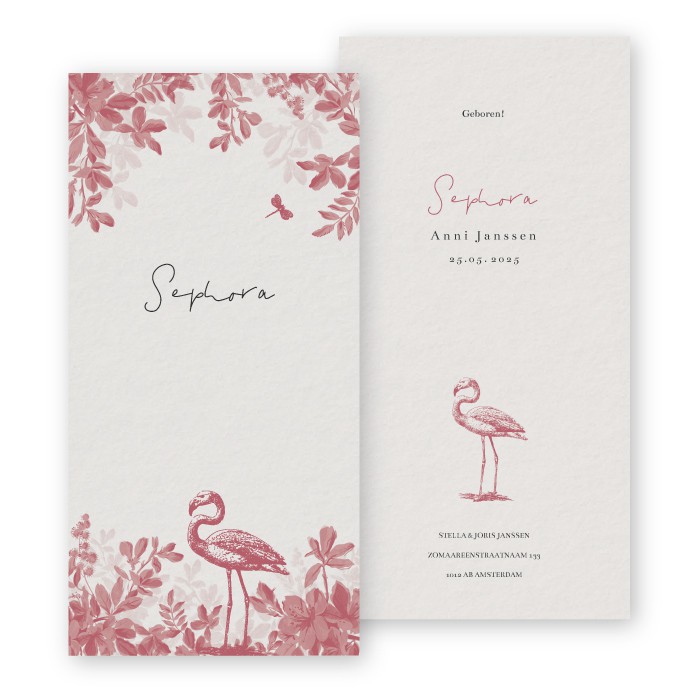 Geboortekaartje vintage flamingo