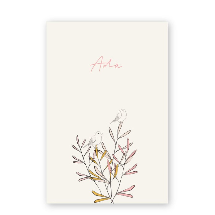 Geboortekaartje takjes Ada