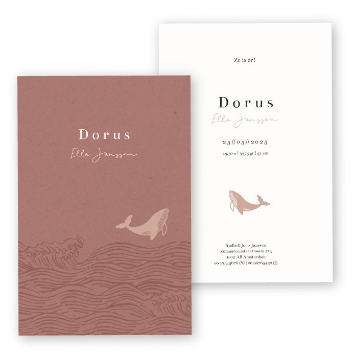 Babykaartje roestbruin walvisje