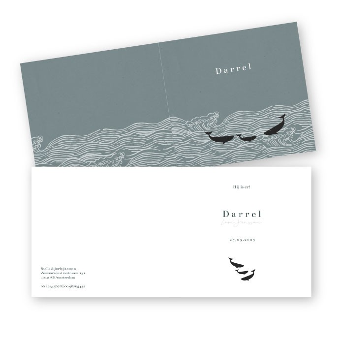 Geboortekaartje vintage blauw