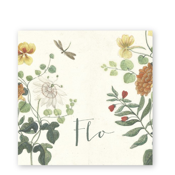 Geboortekaartje museum schilderij Flo