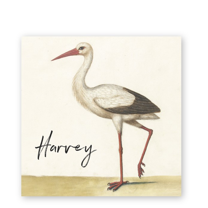Geboortekaartje museum ooievaar Harvey