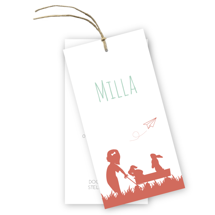 Geboortelabel bolderkar met speelgoed Milla