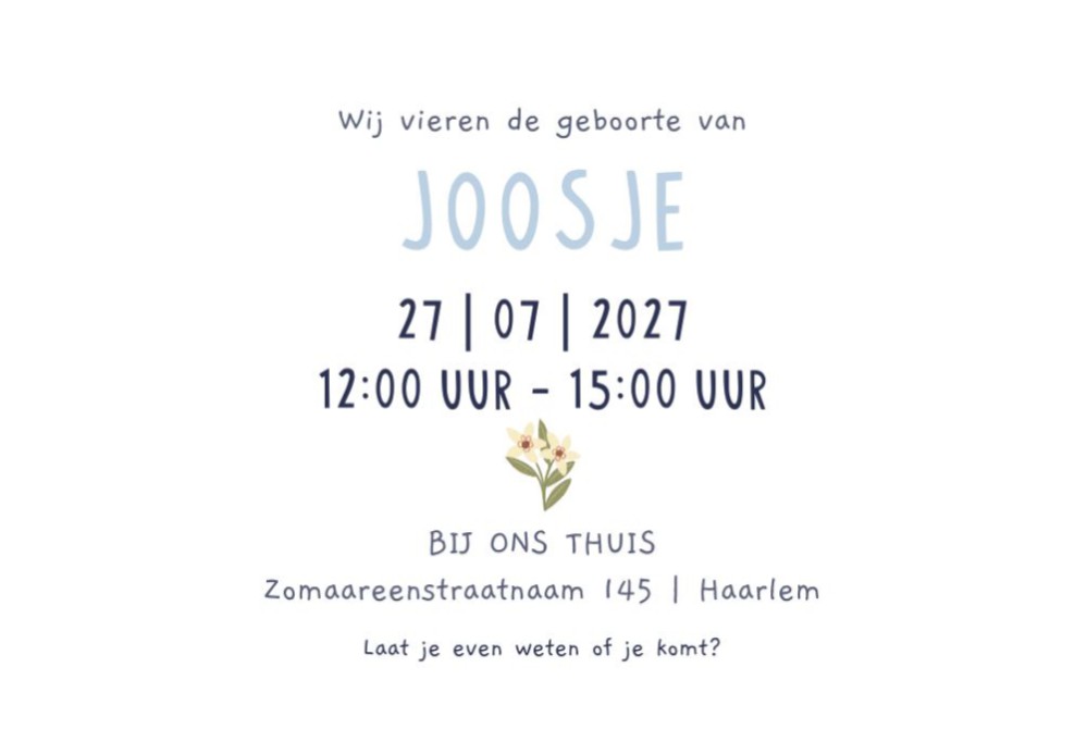 Mini kraamkaartje Gansje - Liggend