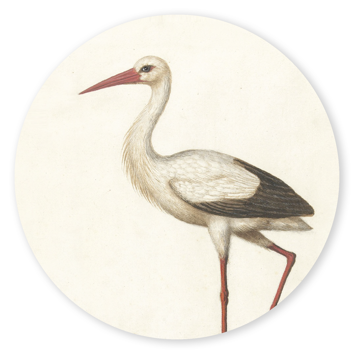 Sluitzegel museum print ooievaar